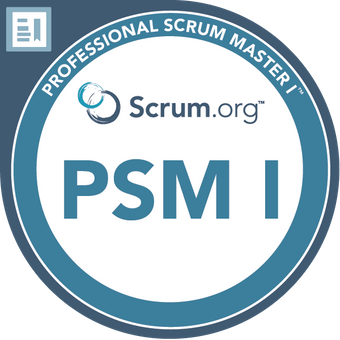 Professional scrum master